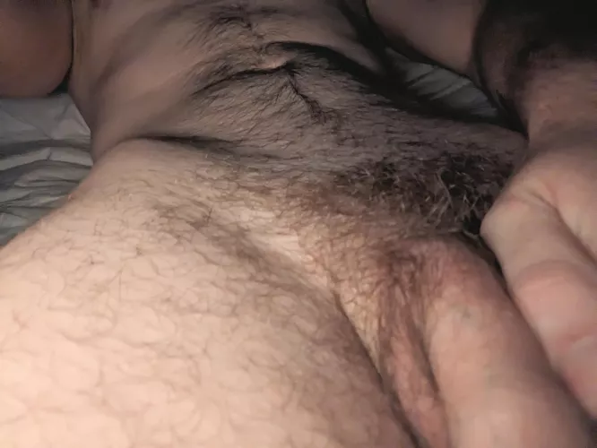 Who wants to play 20q? by curiouscub2698