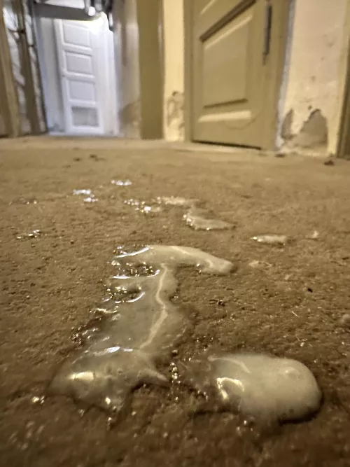 38 bi guy, just doing laundry by No-Gold7690