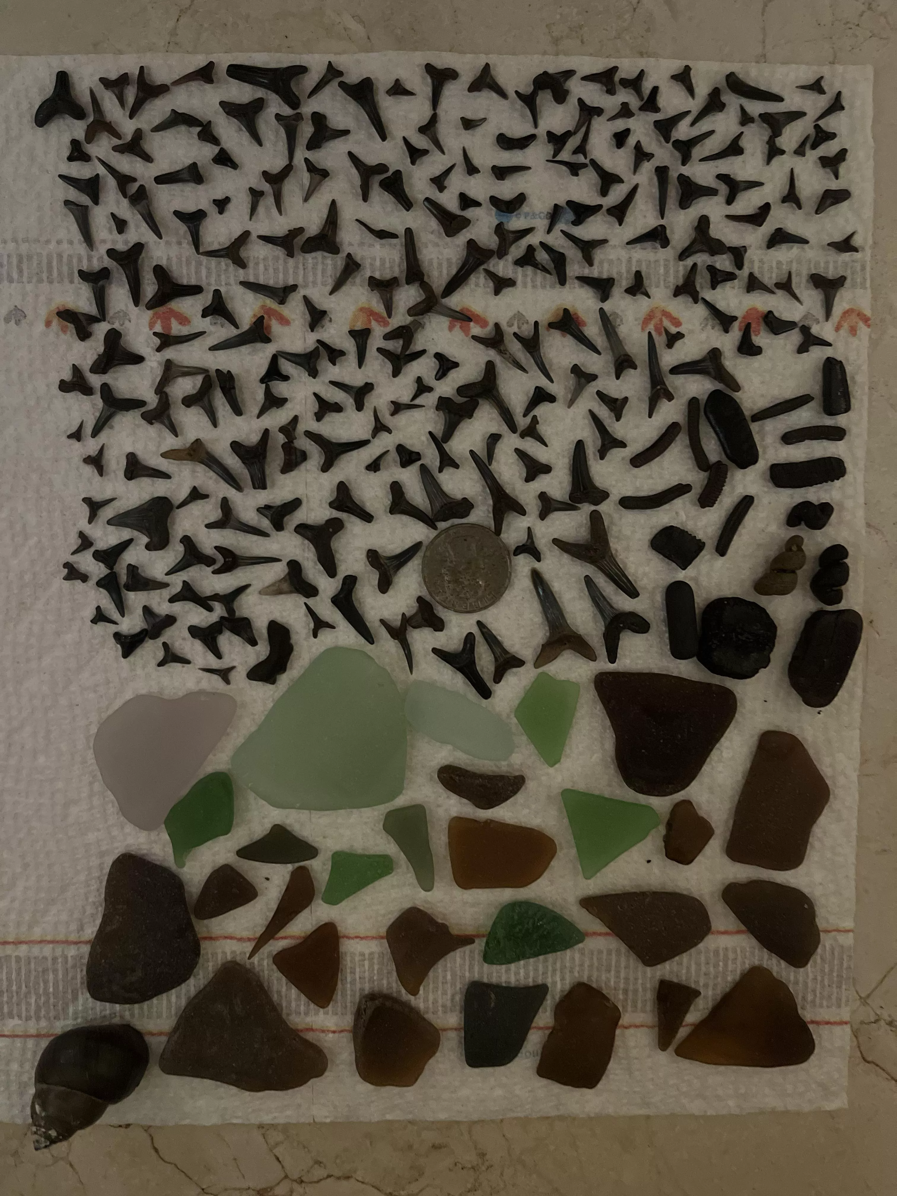 Beach day posted by raw_sush1