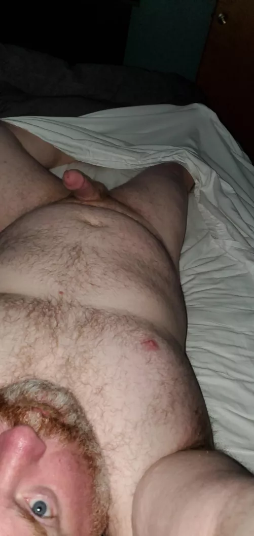 Didn't want to get out of bed today. by sacto68