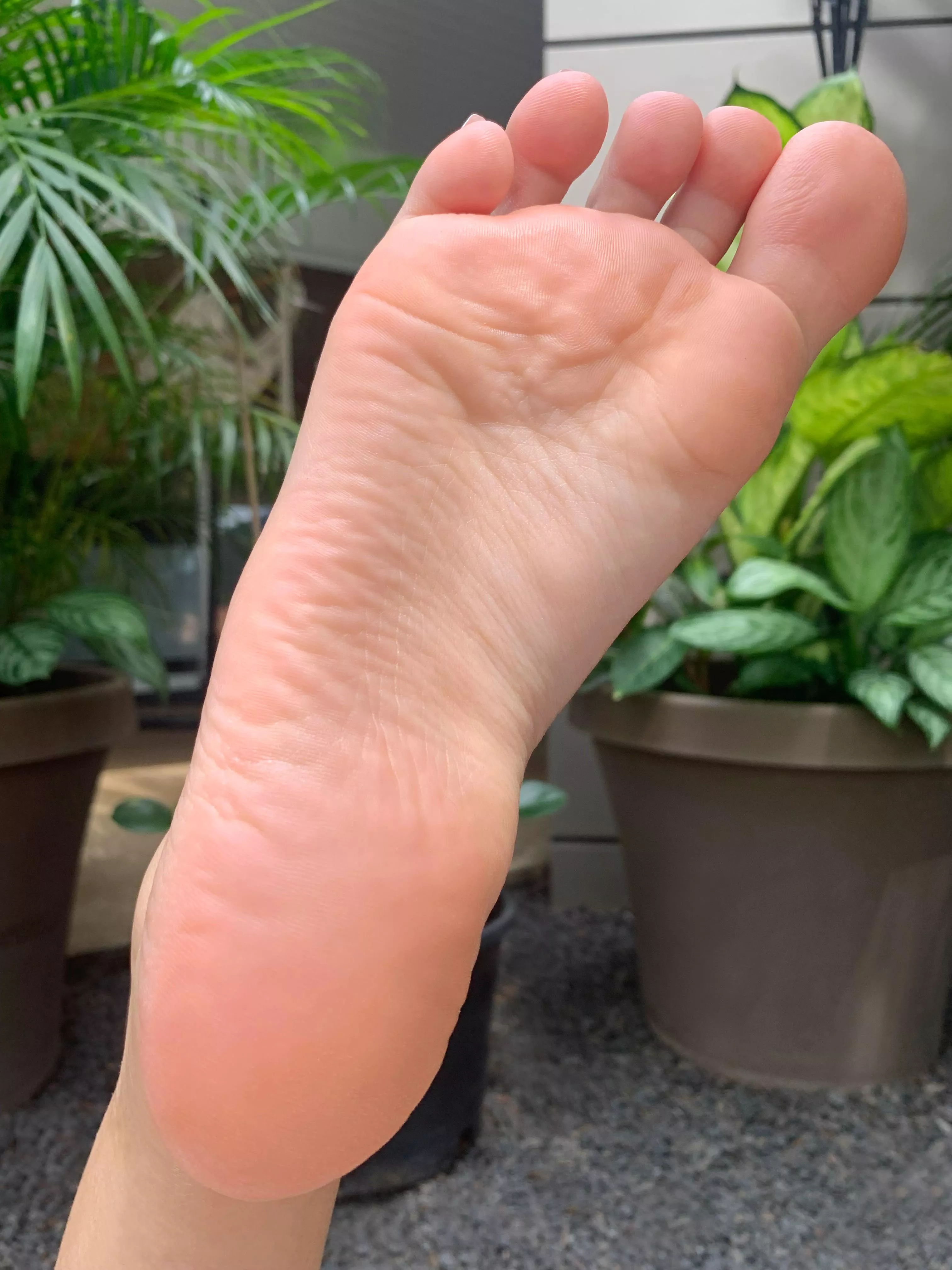 Happy Friday, would you lick them? posted by Evelyn__feet