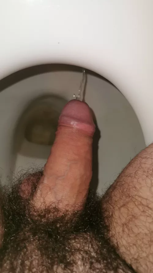 I need another toilet. Do you have a idea? 🤔 by Unusual-Cover8150