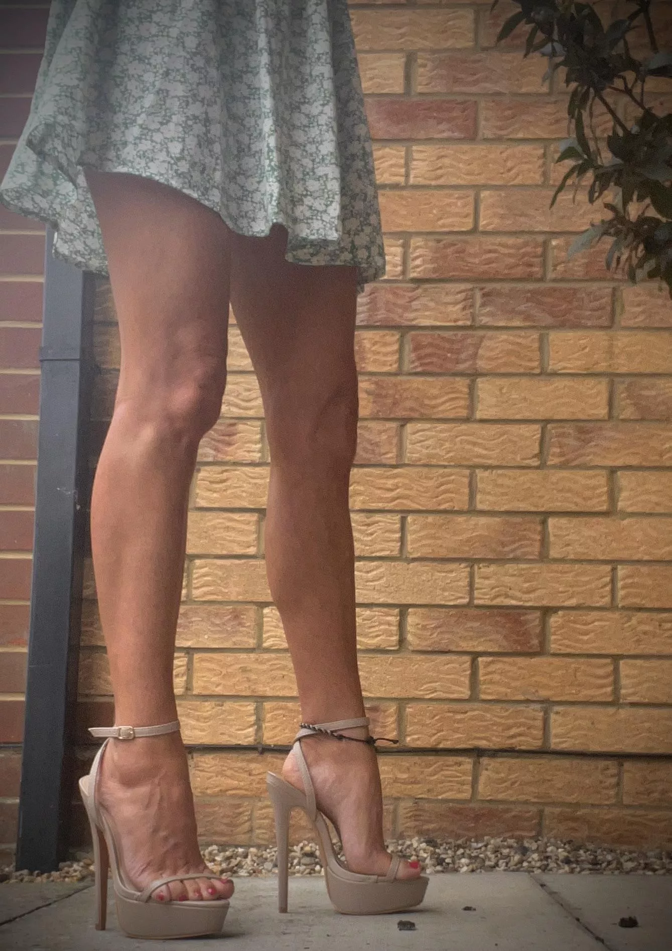 Tiny feet , big heels! posted by Bunny-bon