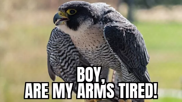 when your mistress has a huge dick posted by Excellent_Move_412