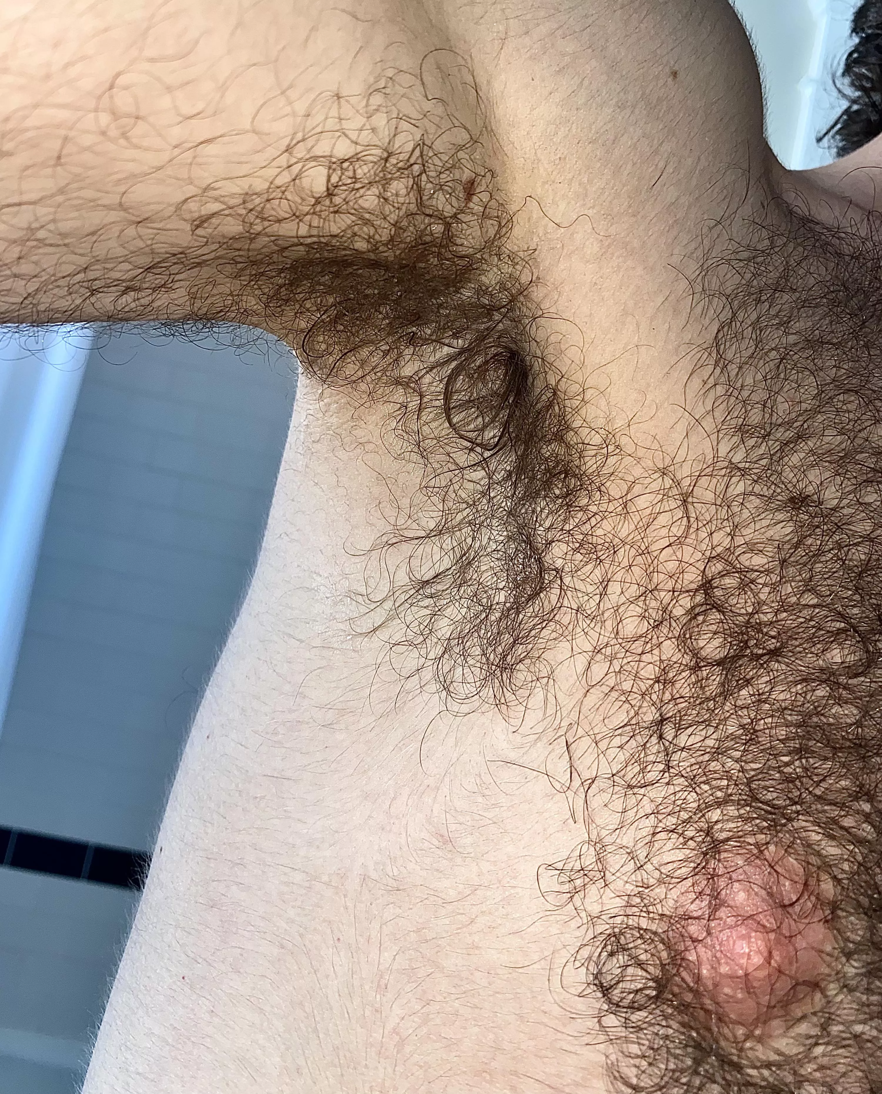 Whew. It’s a lil hot today. posted by Howl_at_the_moon_