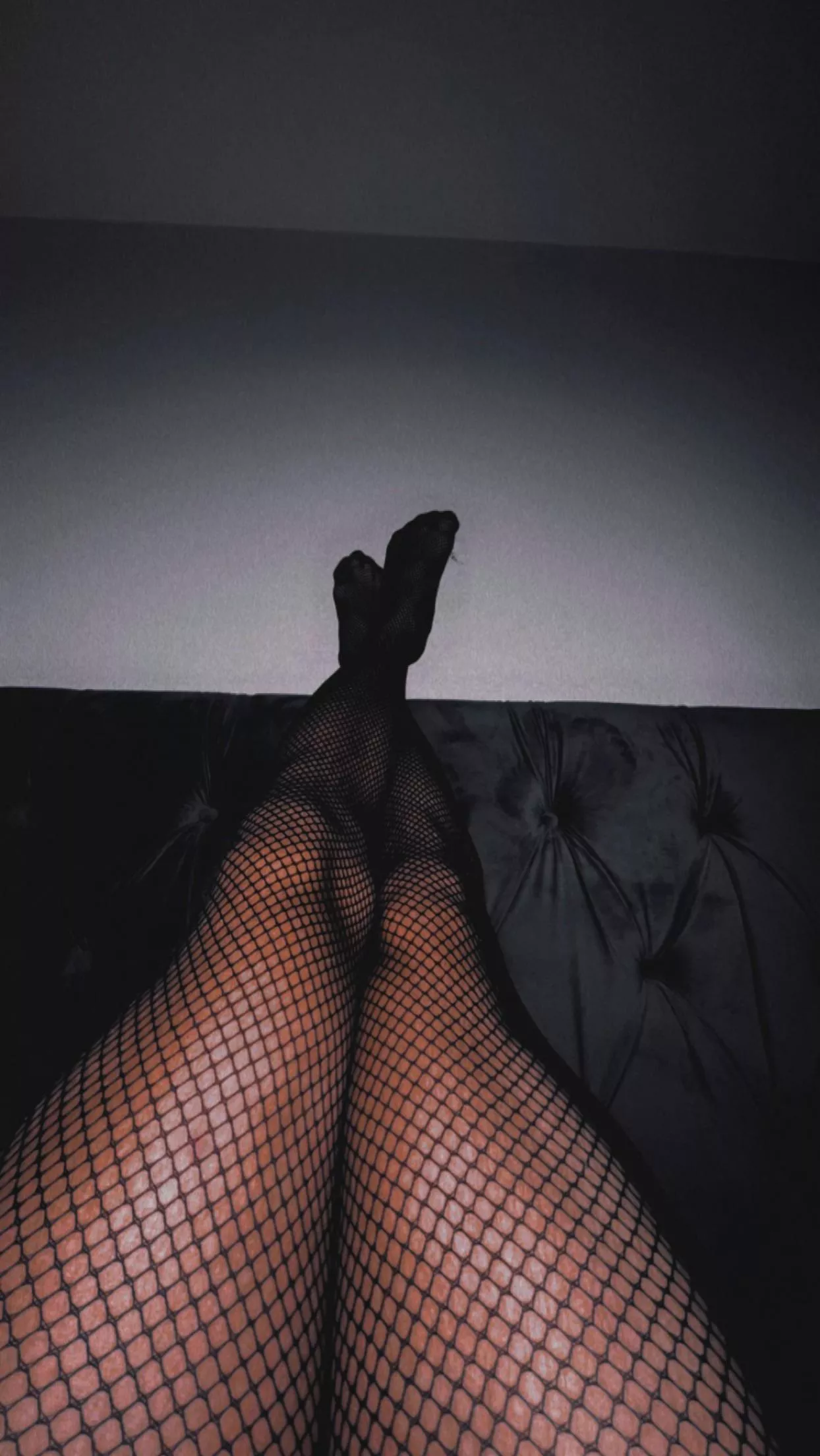 Would you cum on my fishnets? posted by Capital_Regret_1877