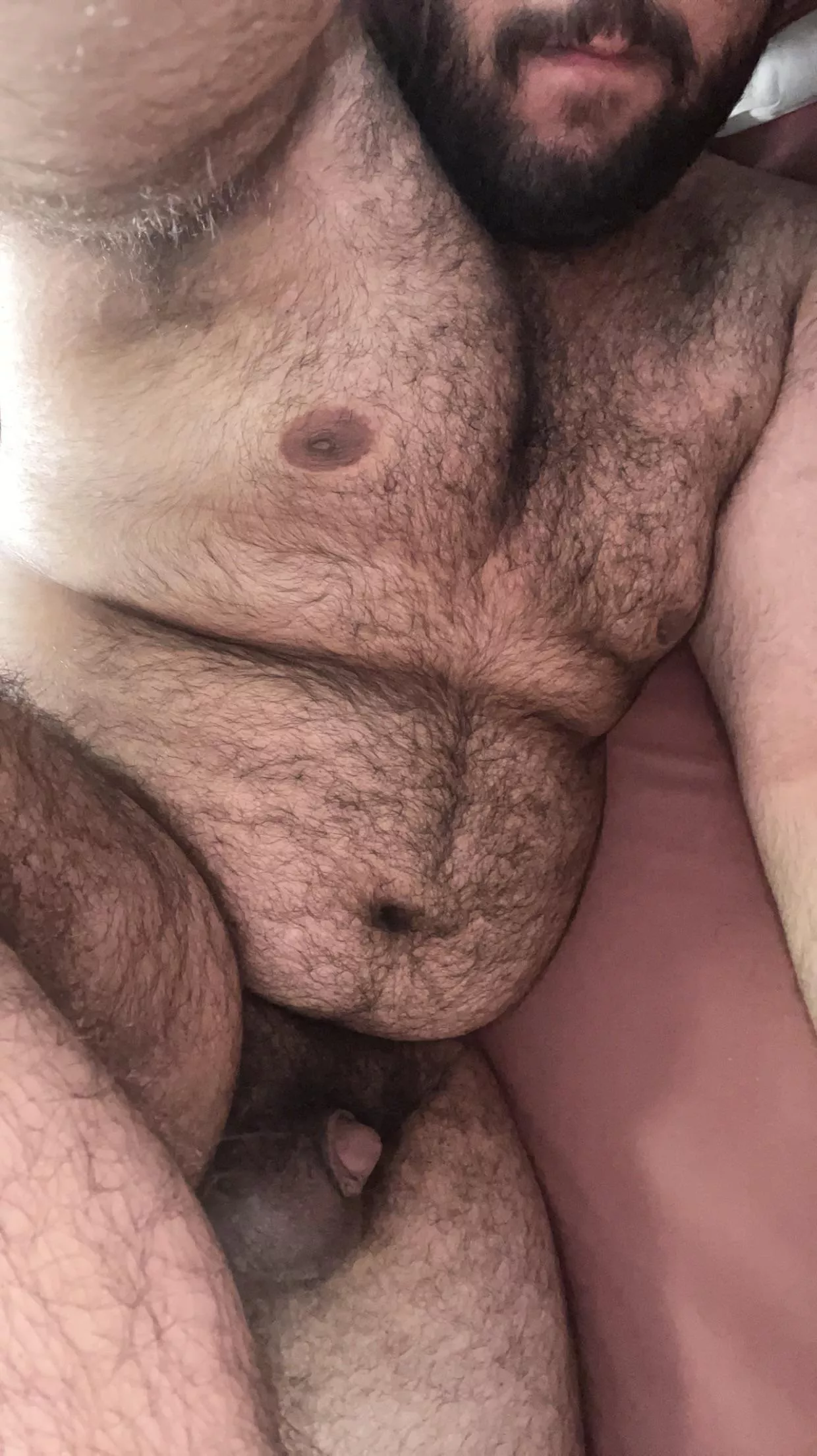 (20) can i sit on your face? posted by MelAelZel