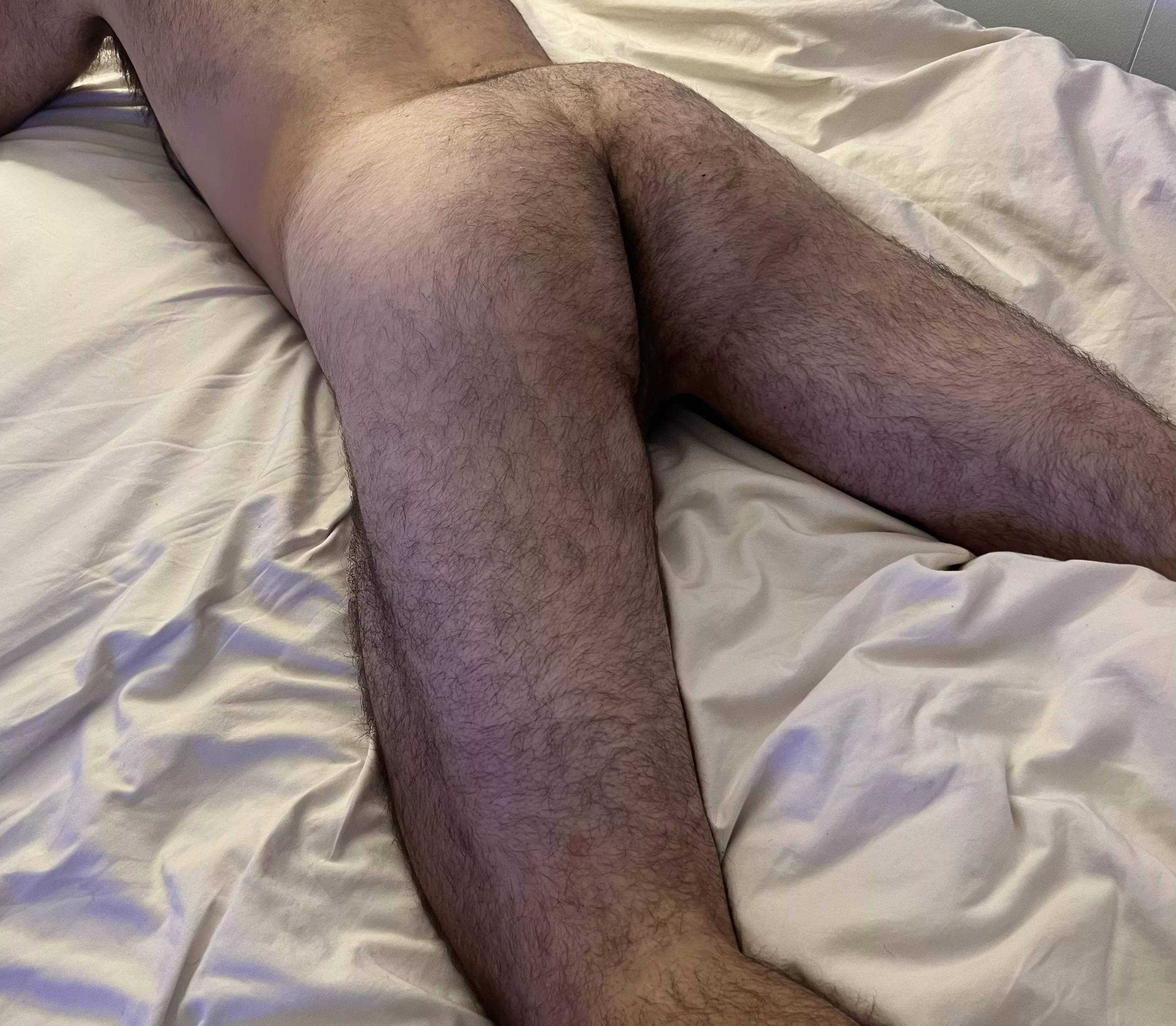 [36] Daddy needs kitten for some grooming time posted by AdamEast000