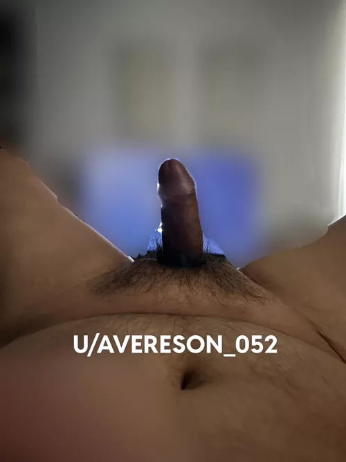 Looking to get mounted by AVERESON_052