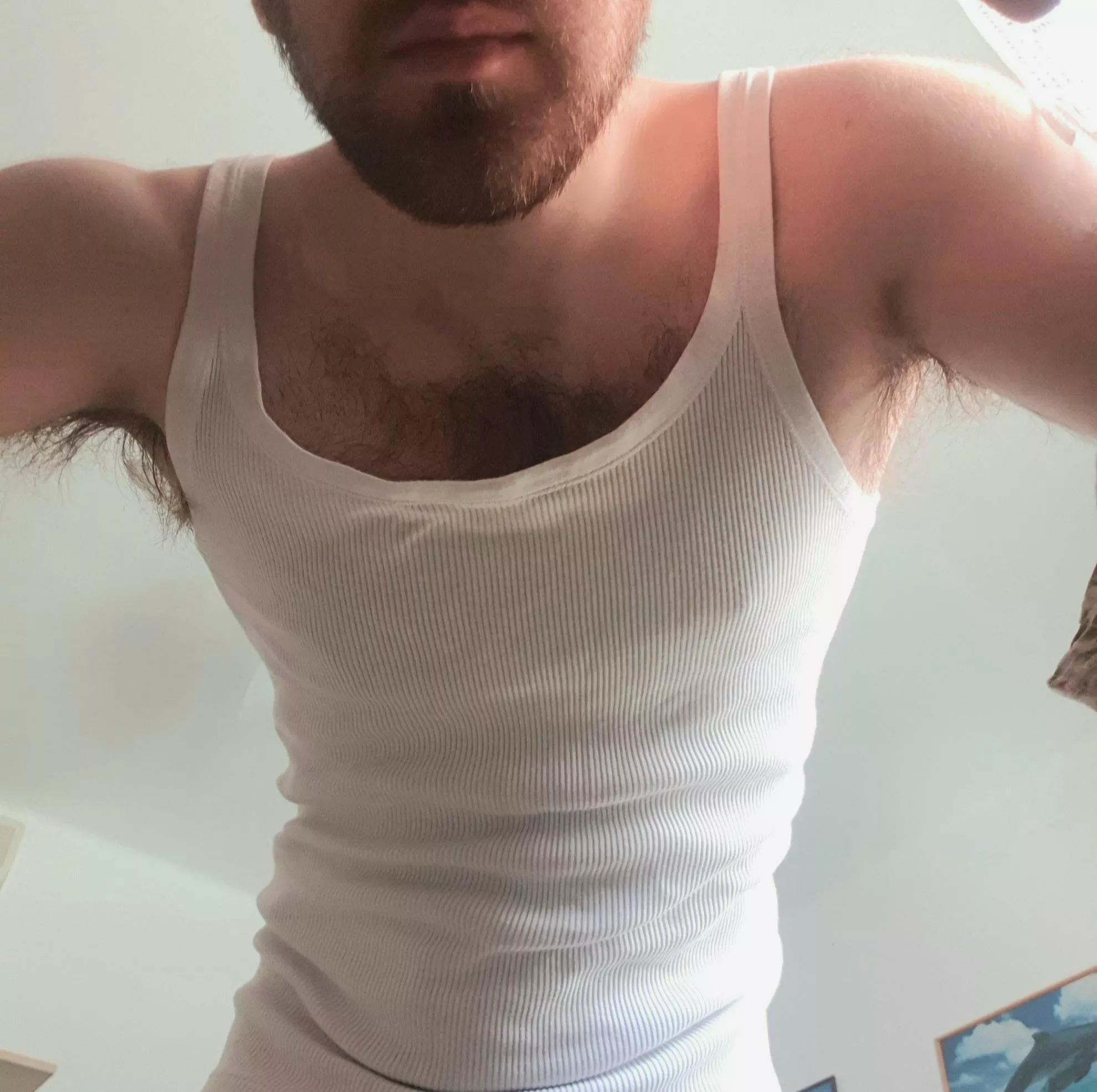 Perspective on how long are my armpits hair posted by Naughty_Alex1