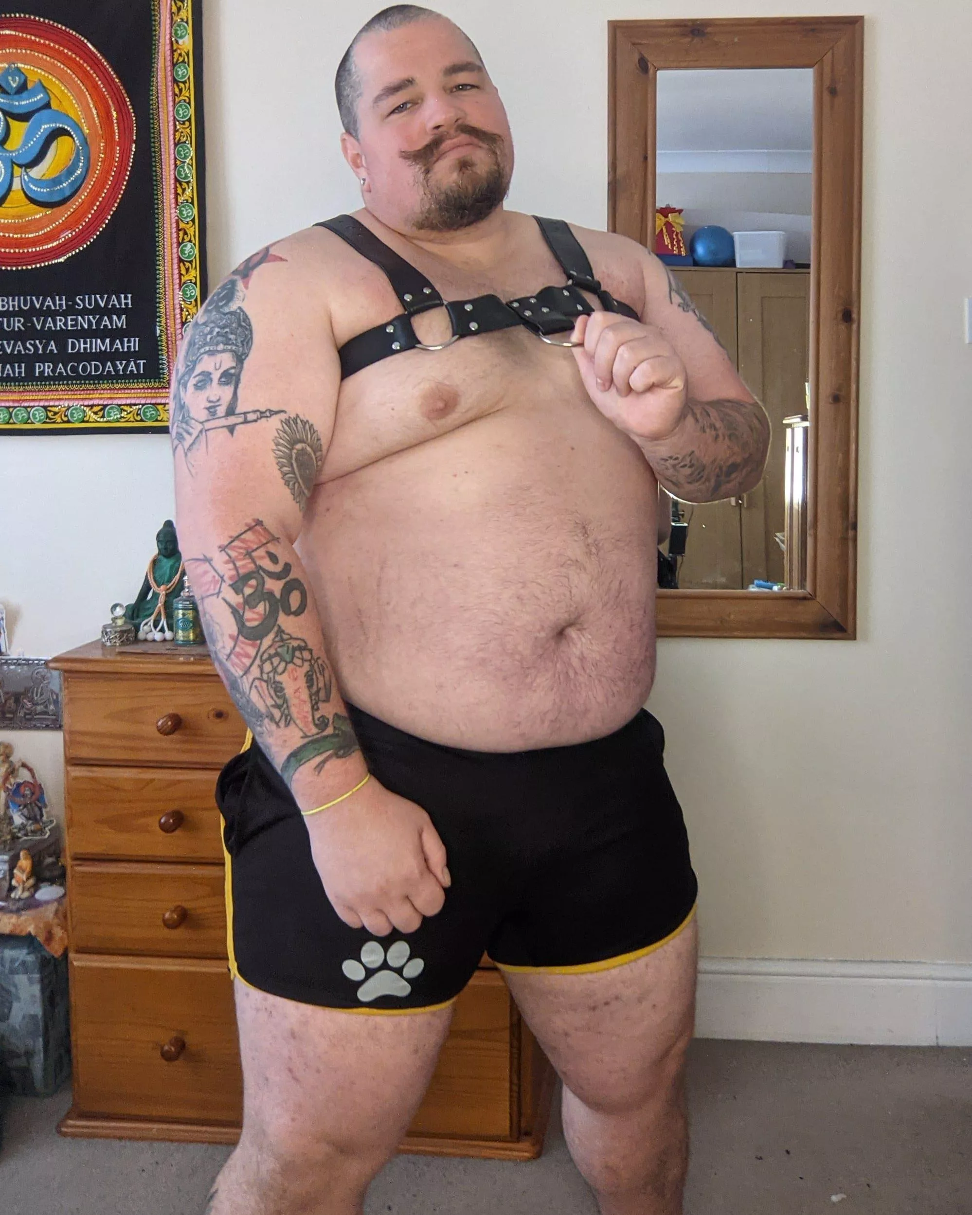 Shorts and harness. posted by BearyBudai