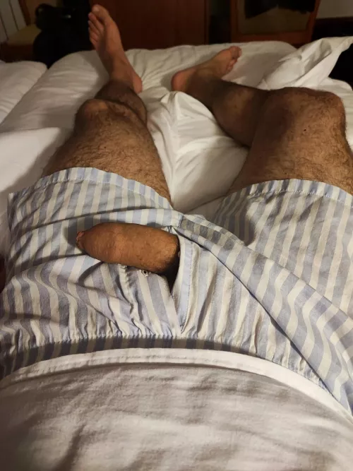 Trunk released 🐘 by gaygroove