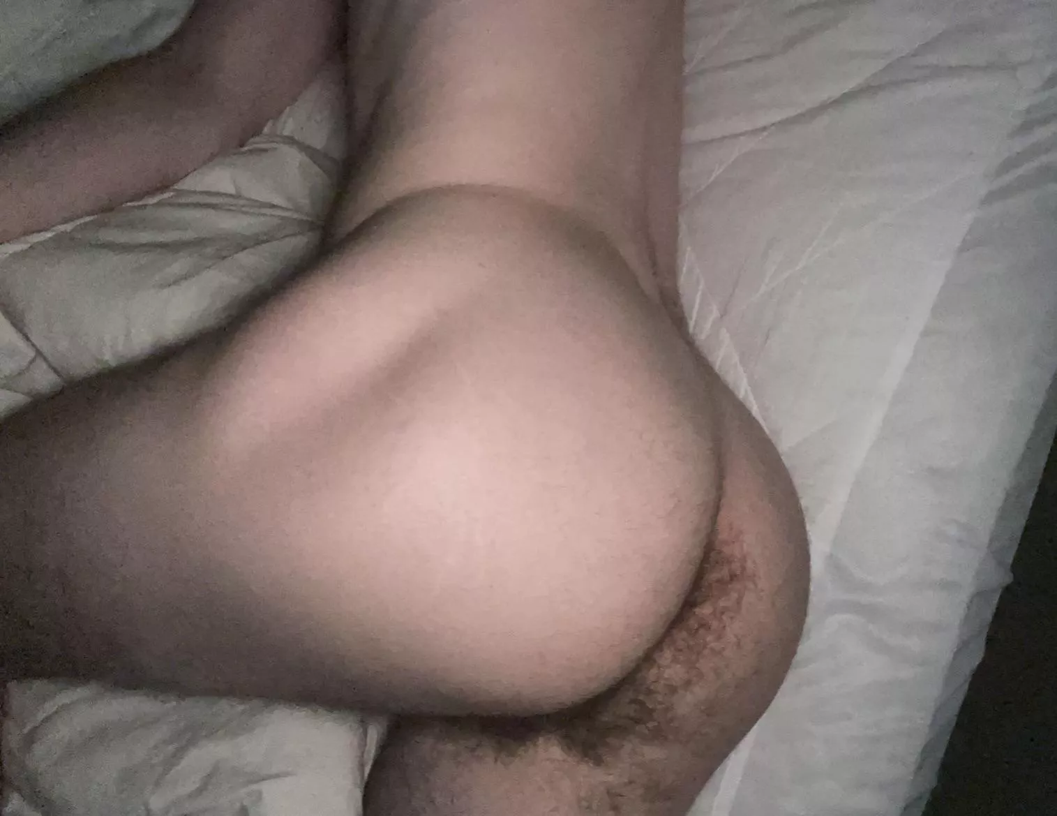 24 so horny, dms open posted by melbiglouu