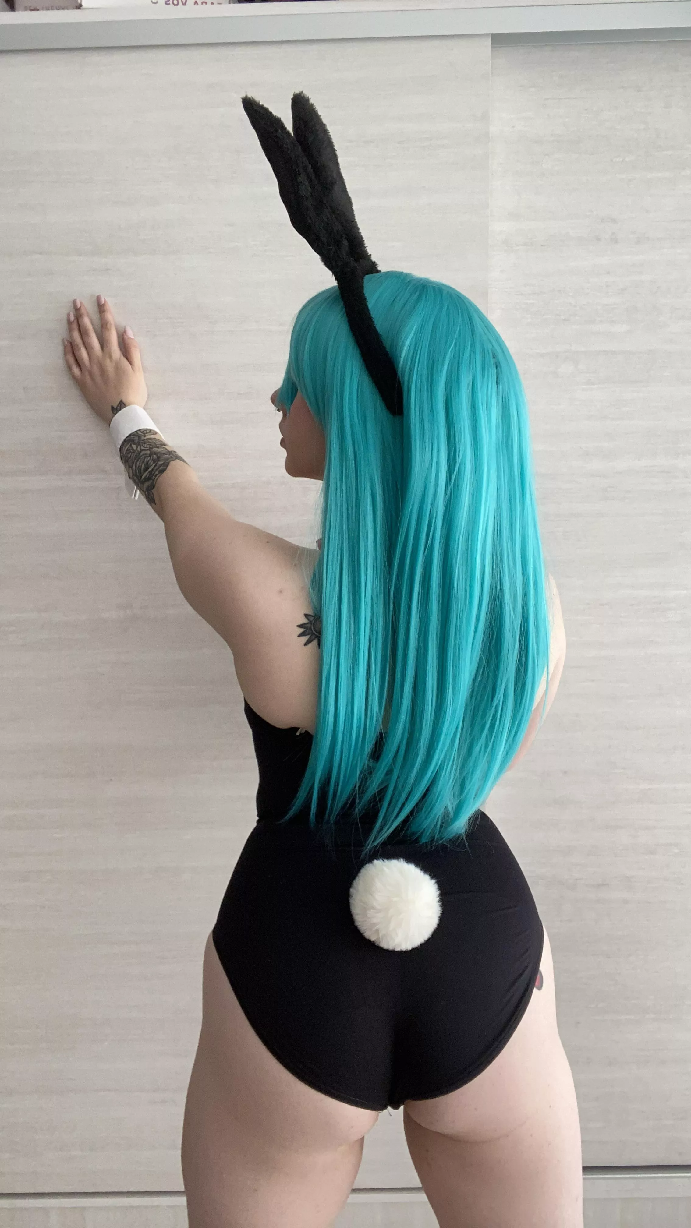 Bulma from Dragon Ball Wiki by Foxxy posted by SolidlyJovial