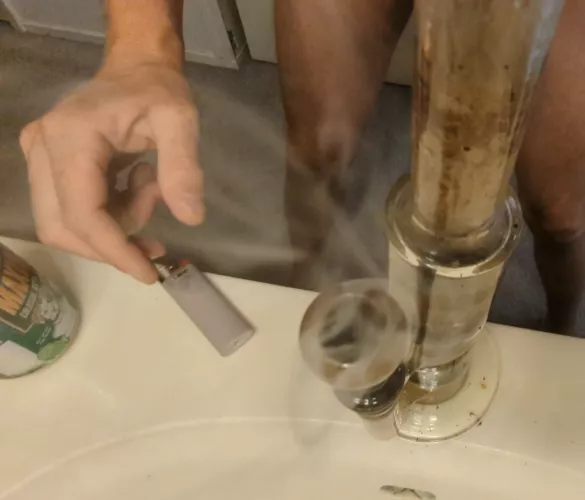 Evening Rips [M]y Ents 🔥🍍😁✌️ by NotUrBuddy-Guy