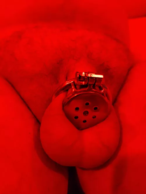 Finally put my good boy in a flat chastity device. Doesn't he look perfect in it? 😍 by xMommydommex