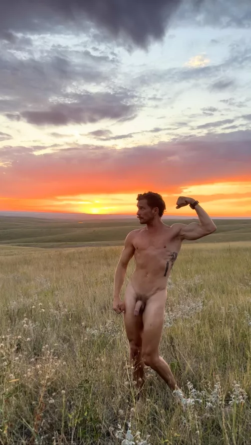 Grassy sunset by freeintheforest86