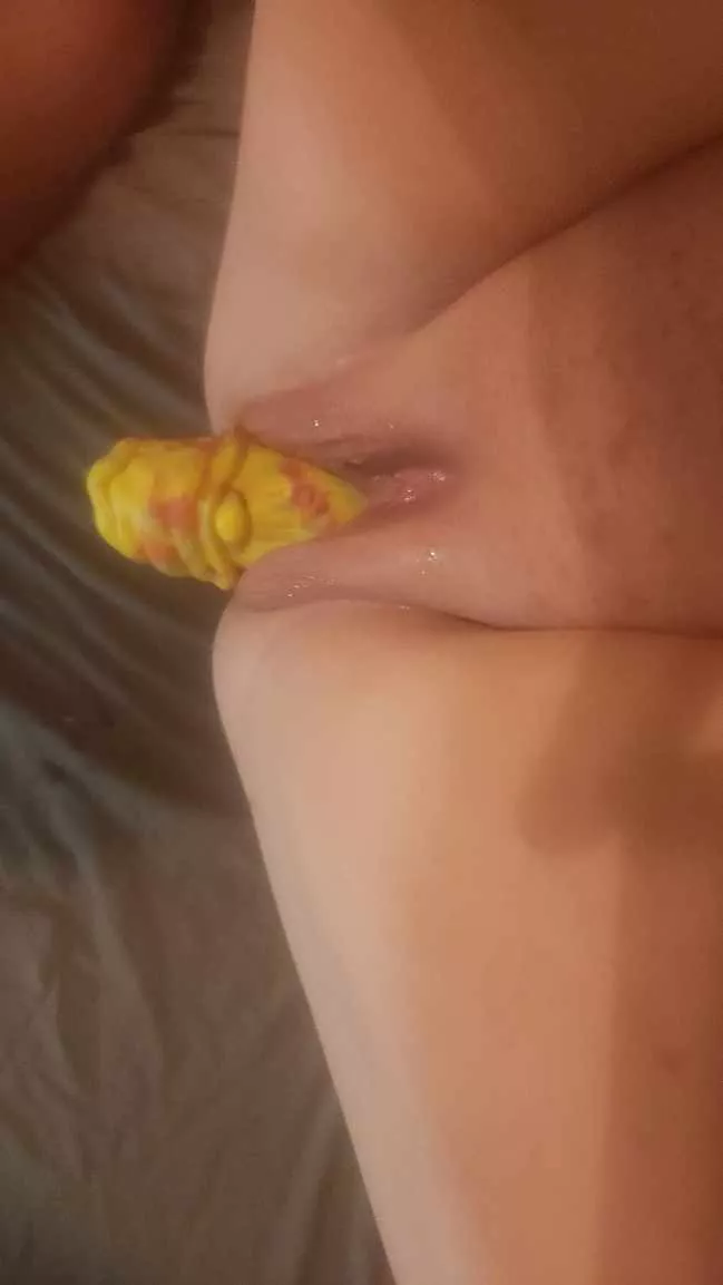 Jerry the Gnome base first popping out of his cave to say hi! posted by ConferenceCute9407