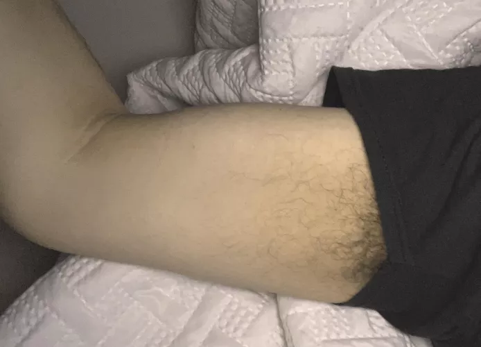 Morning scent! by lowestselfsteembear