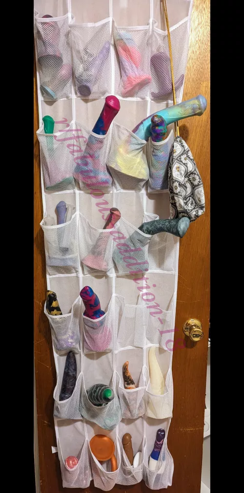 My collection 😍 by Fabulous-Addition-18