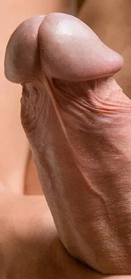 Say “Yes Boss” if you’d let me breed either one of your holes. posted by DarrenBi