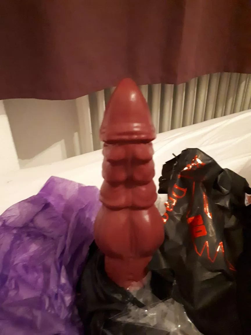 Unwrapping NOVA (large) posted by Velvet_Champagne