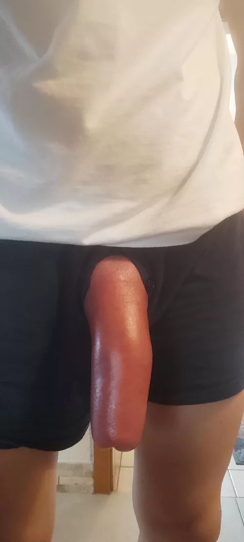 After a successfull pumping day 💪🏼😎 by BavarianMonster