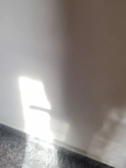 Embracing the sun light through shadow by fall_shower