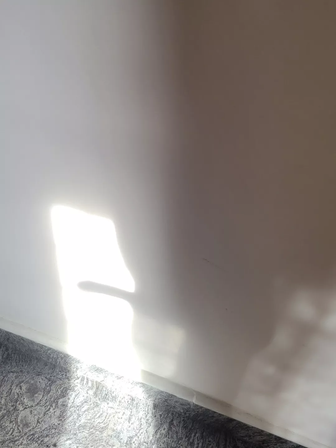 Embracing the sun light through shadow posted by fall_shower