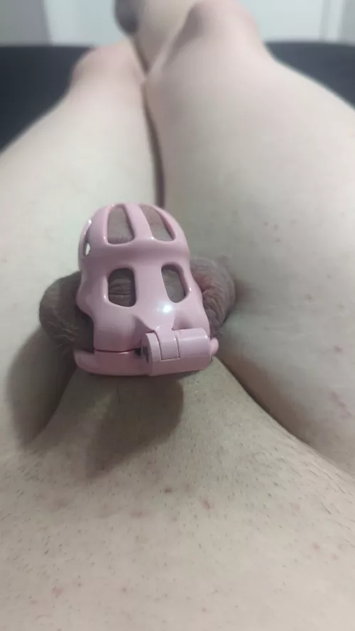 Finally gonna lose my virginity tomorrow, how does the cage look by sissycumdump2