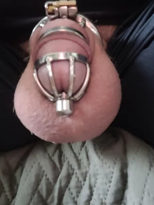 My new cage when I get hard it still gets hard behind the cage and pushes forward, is that normal because Im still new to this? Its actually comfy though. by knottydreams