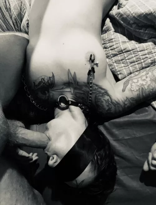 She was tied up and ready for me this time. by PhxxxBull