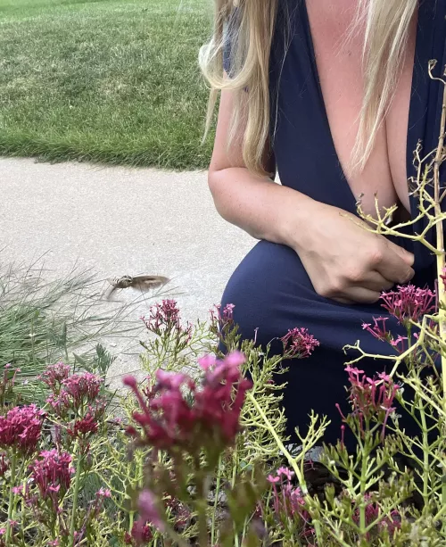 This hummingbird moth is so cool! Apparently he is a whitelined sphinx. He had quite the proboscis. by Mimi_Marie_Coxshire