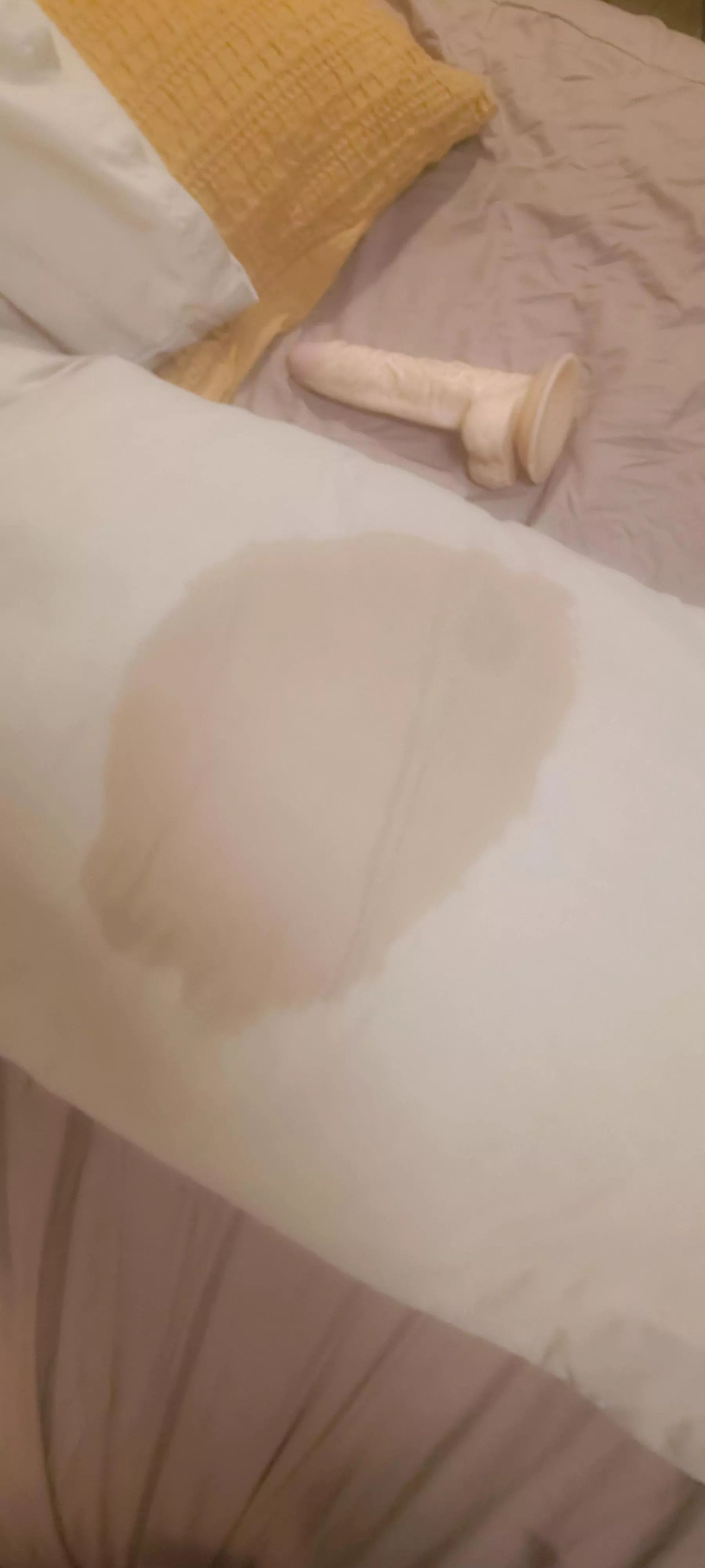 wi(f)ey's sooo wet posted by Karlismo