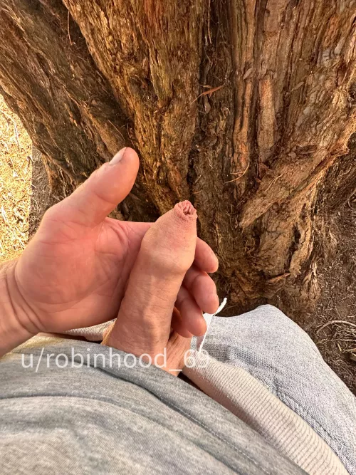 Foreskin my penis by Robinhood_69