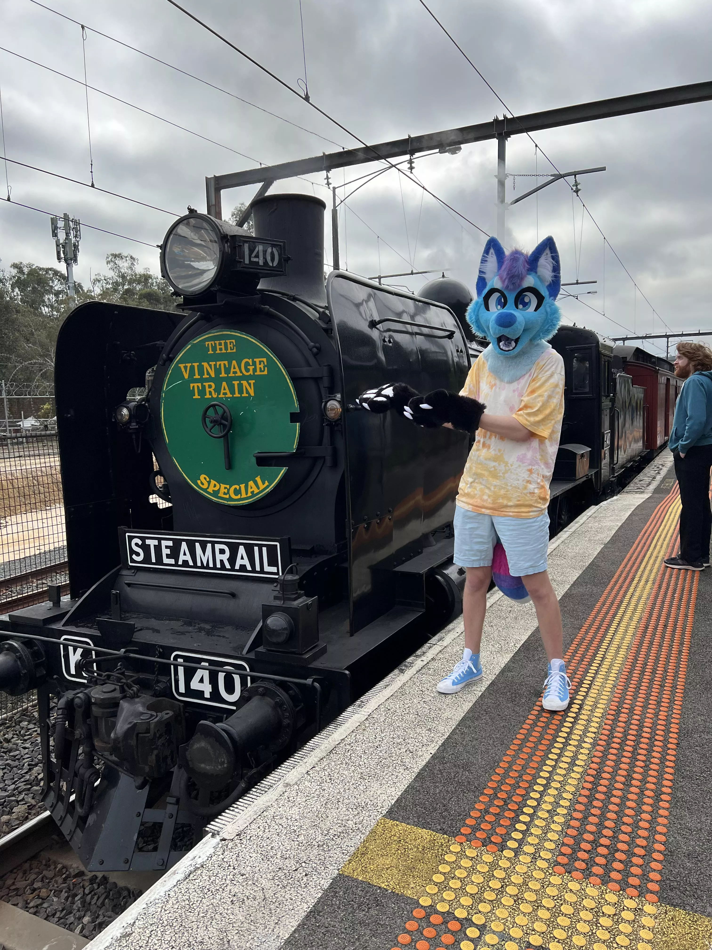 i saw a cool train on the weekend posted by FrostyBlueberryFox