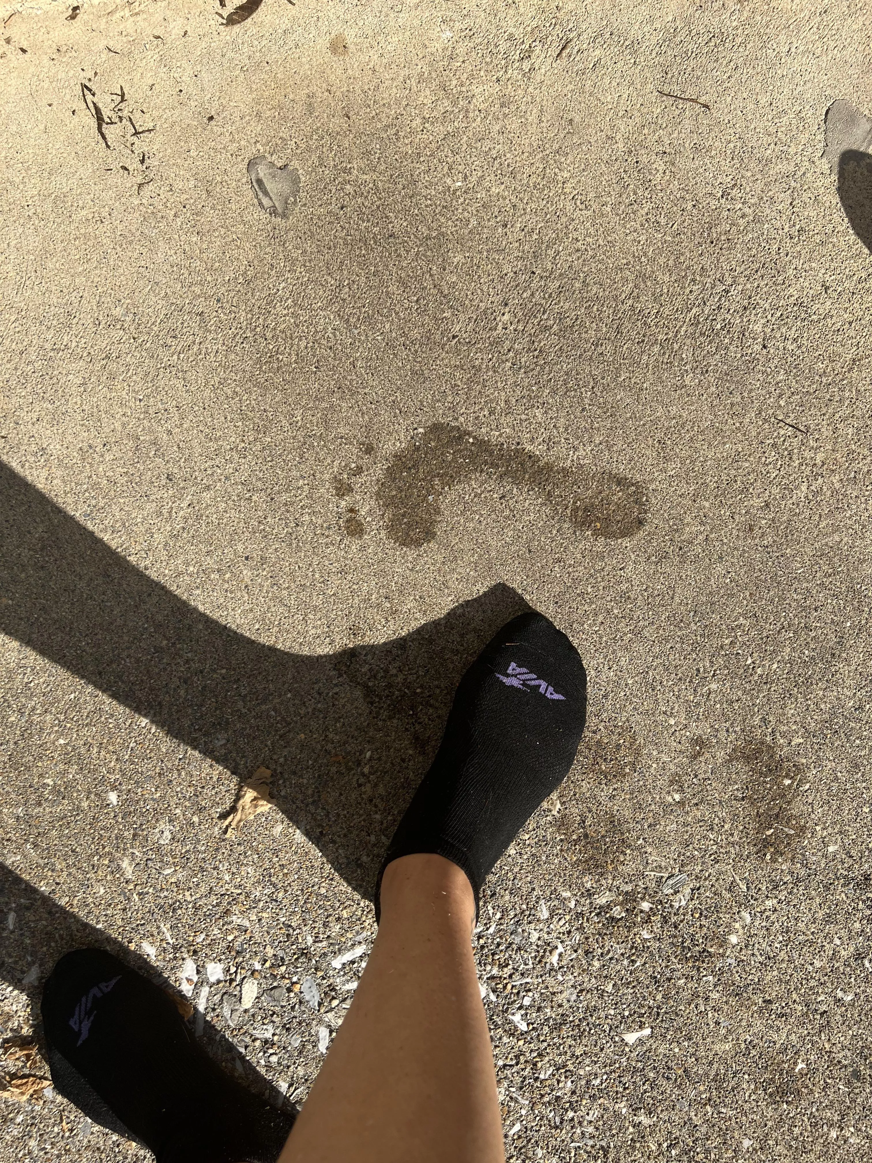 Leaving my mark after farm chores 🤭 posted by FFlcb