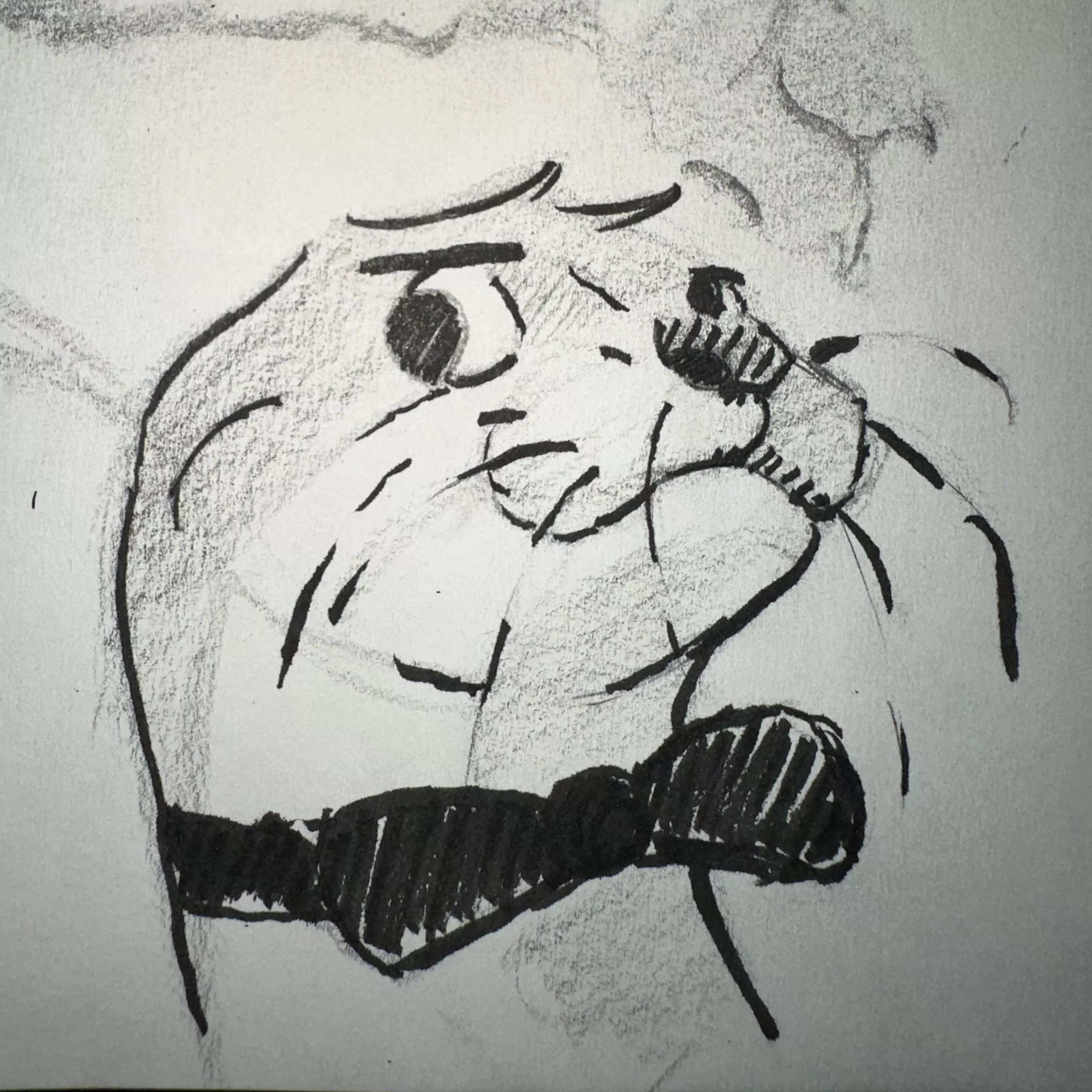 Messy Otter posted by NearlyDrugAddicted