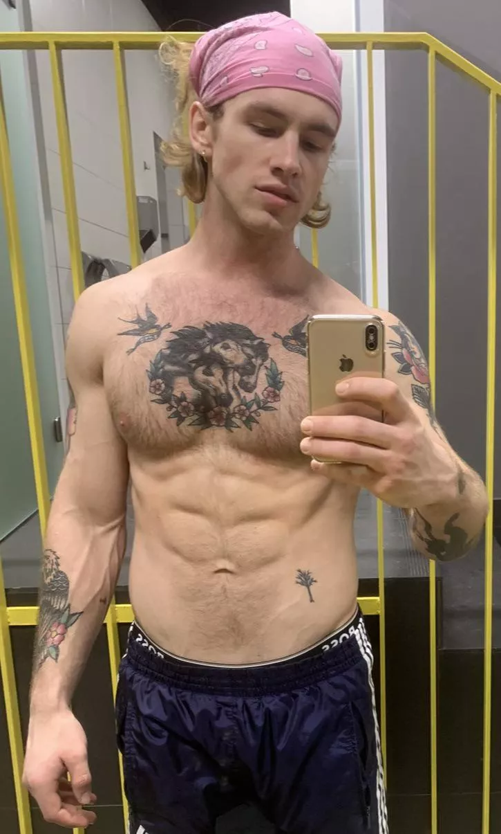 My arms can lift a lot posted by AlphaJake23