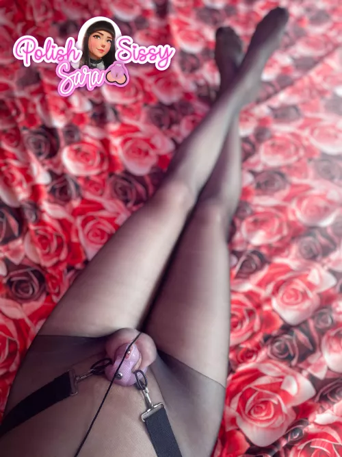 Do you like chastity cages and pantyhose? by urfavsissysub