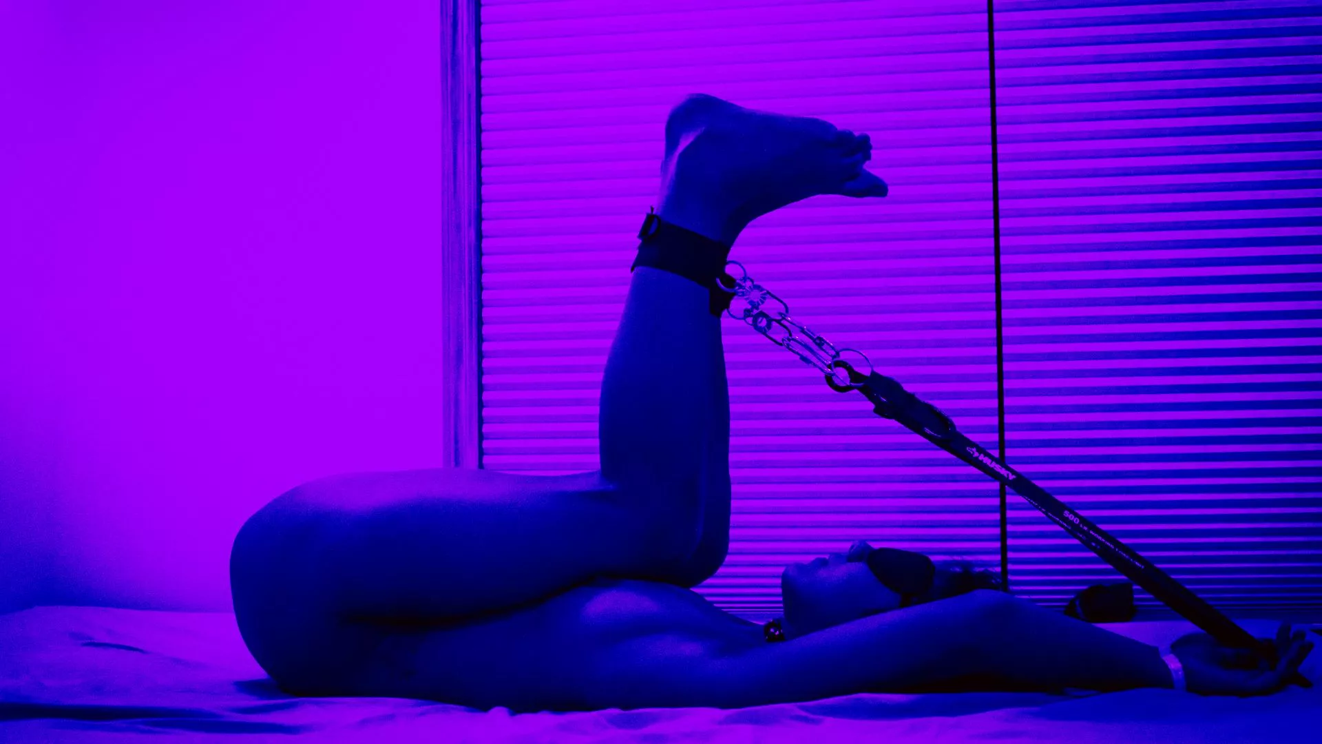 Honey, I'm hoooome. You're right where I left you. posted by twofingerpromise