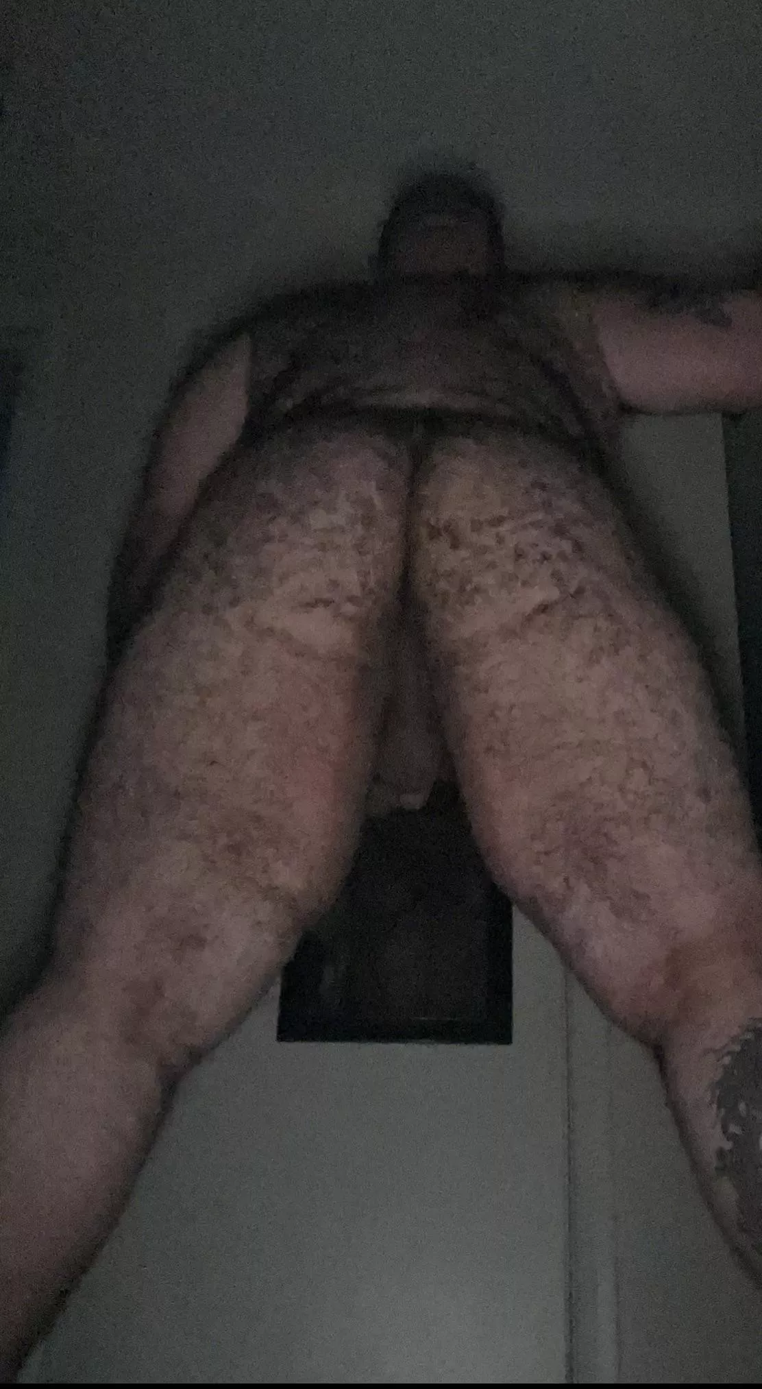 Hump Day🐻🍑 posted by bigmikemccarthy