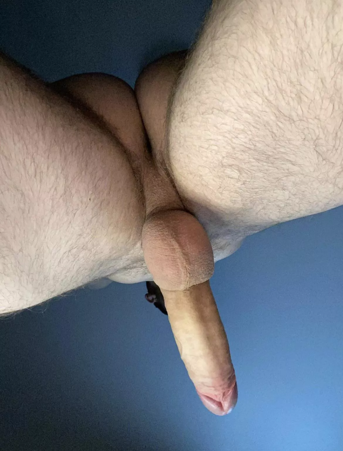 Too straight, too round posted by imryanolsenvip