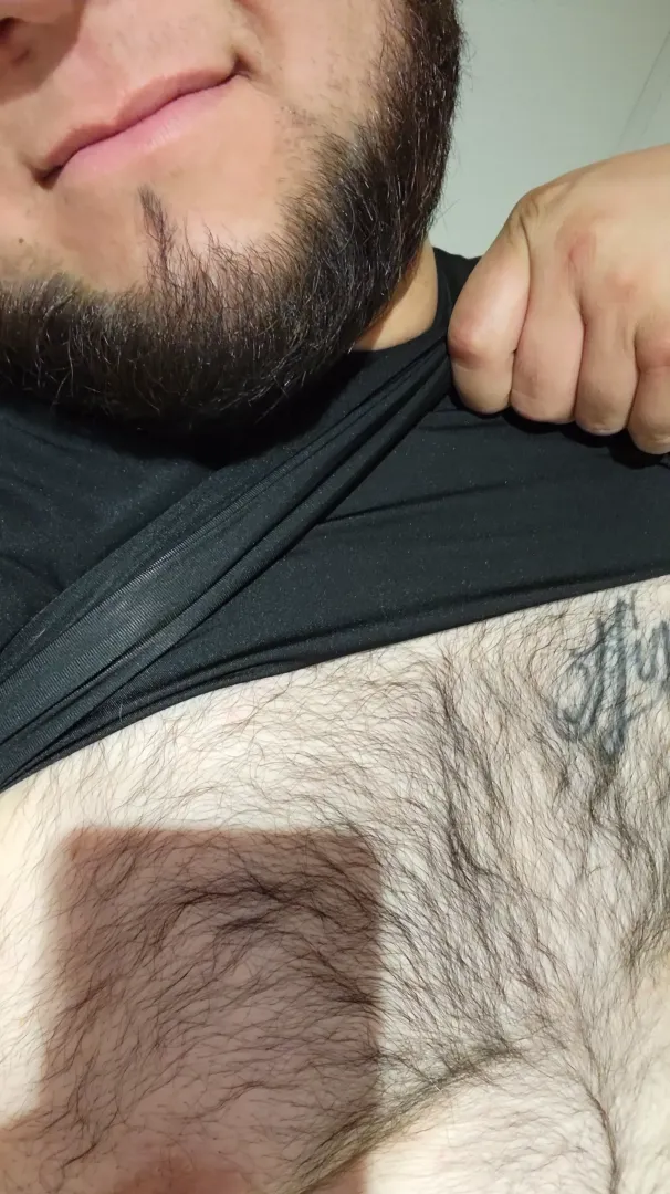 What do you think of my hairy chest? posted by Mr_RedRose13