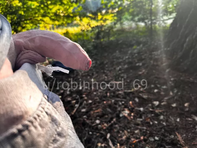 Wood in the forest :-) by Robinhood_69