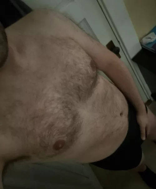 29 M GL, Hairy, Dad bod Looking to trade SC: kyunderwearfan by briefsbuldge
