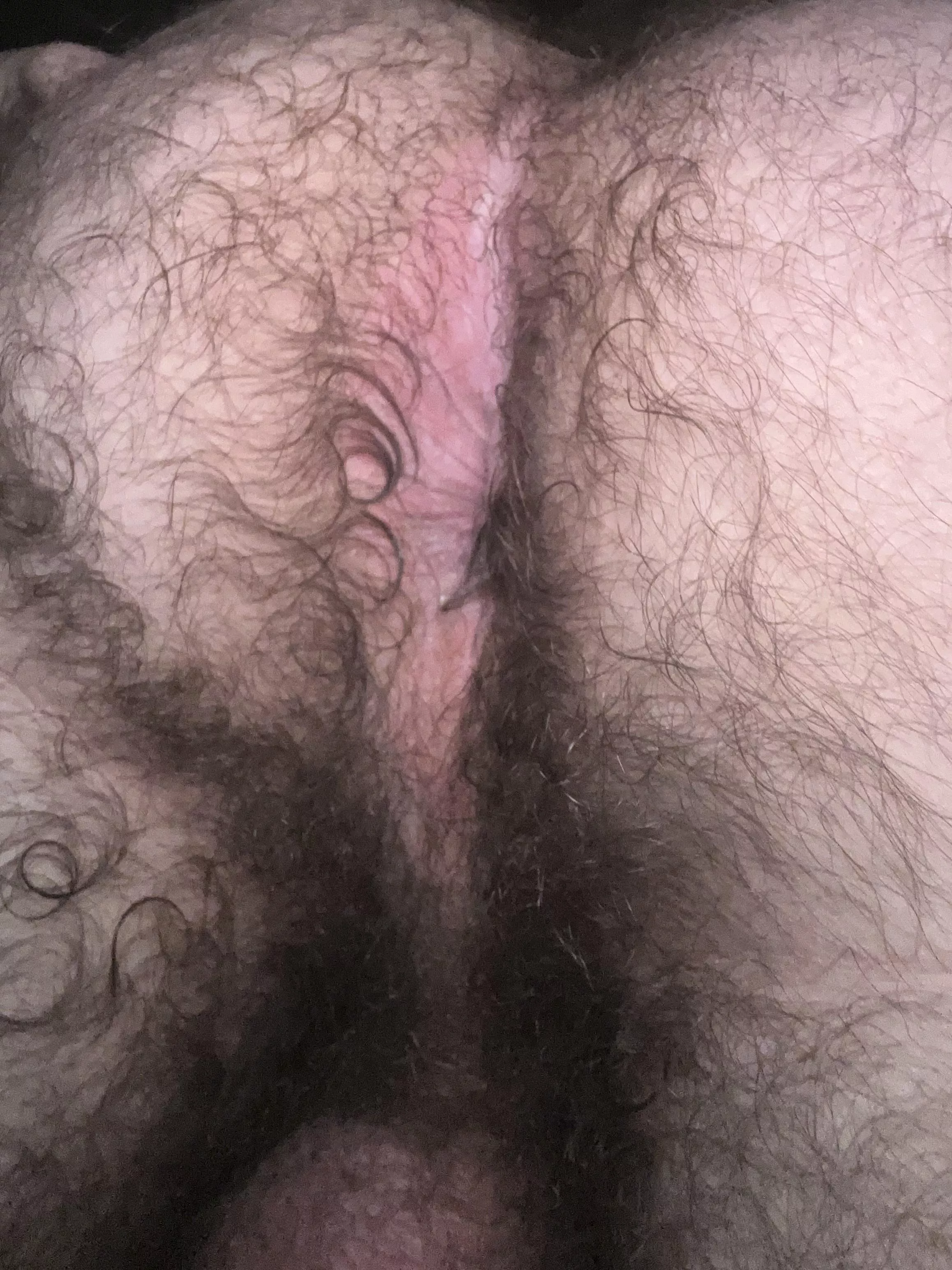 do you like hairy holes? posted by LongjumpingAd5446