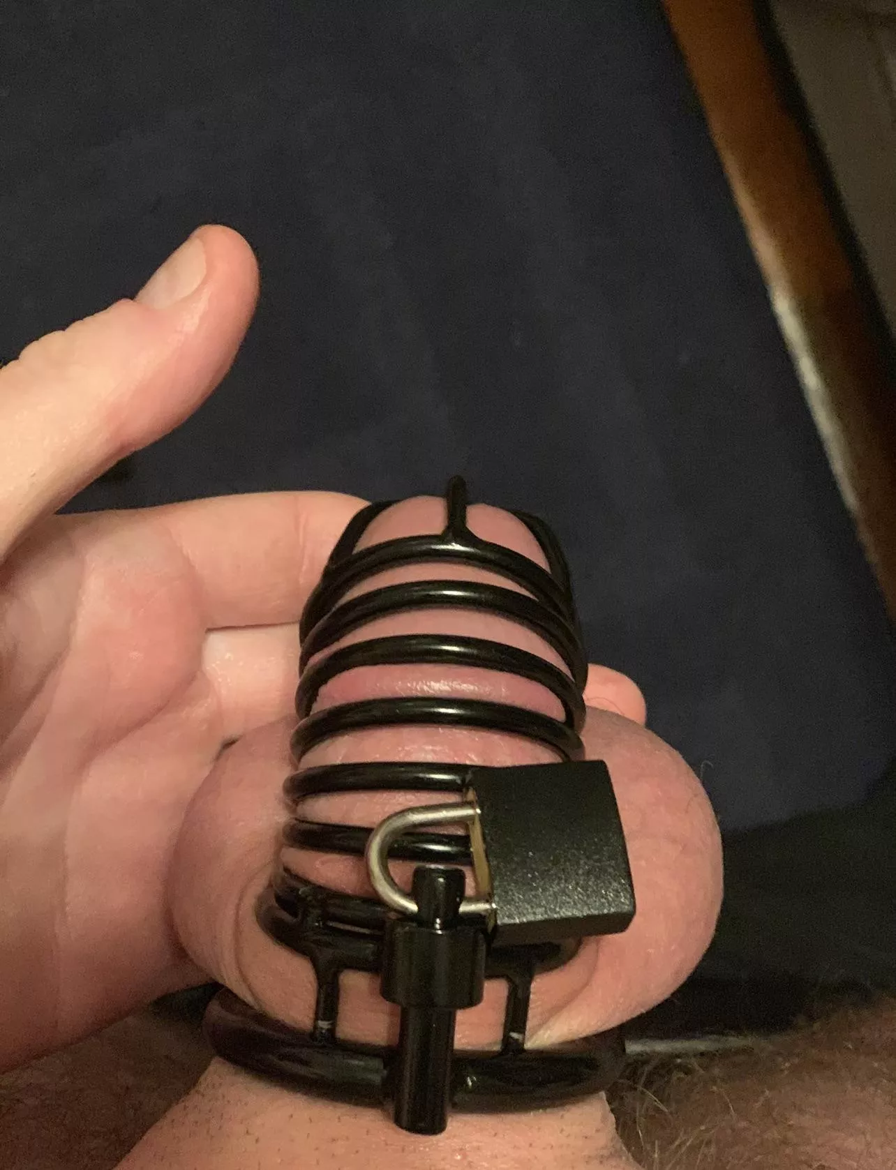 Help, I can’t find the key 🥺 posted by CuriositySaves15