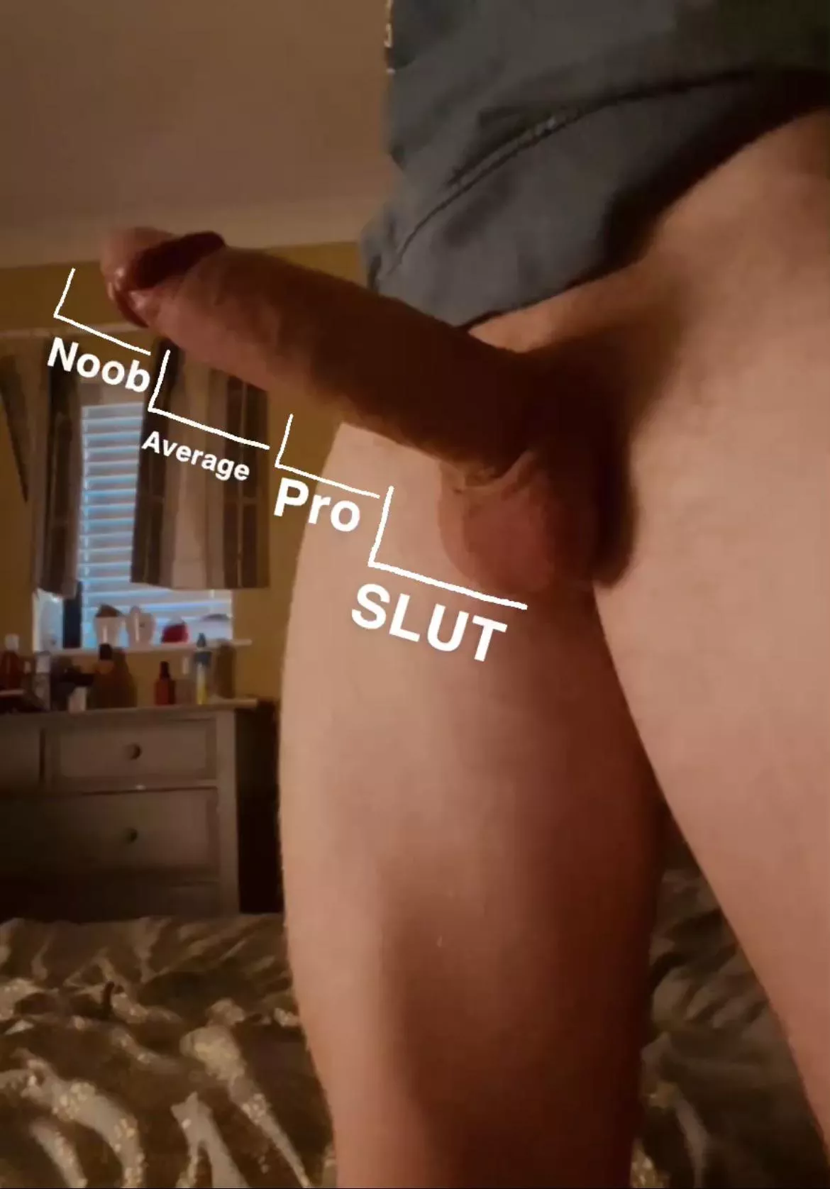 I’m curious, where could you rank? posted by Pineconesaurus