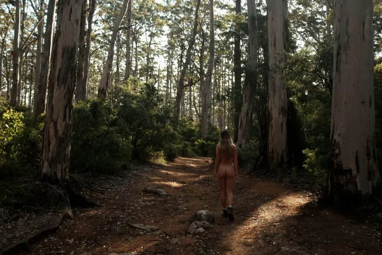 Never stop halfway by honeylullah